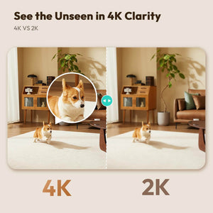 Botslab C224 4K Indoor Smart Camera