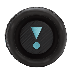 JBL Flip 7 Funky Black