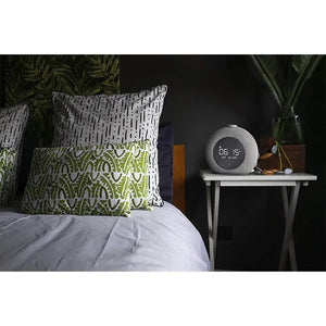 JBL Horizon 2
