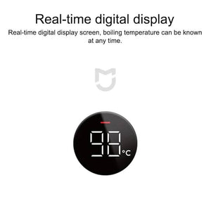 XIAOMI MIJIA Electric Kettle P1