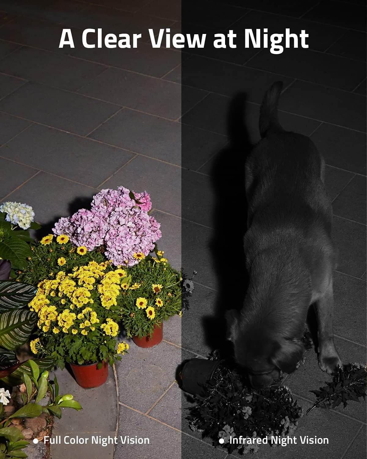  Anker eufy Security S230 SoloCam S40