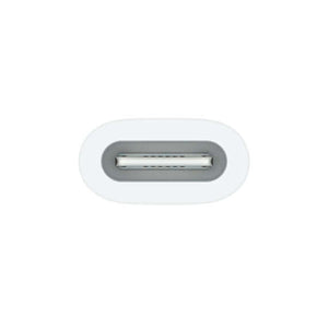  Apple USB-C to Apple Pencil Adapter