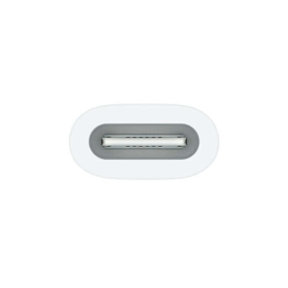  Apple USB-C to Apple Pencil Adapter