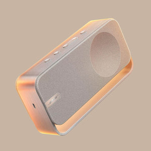  Bose SoundLink Home Speaker Light Silver