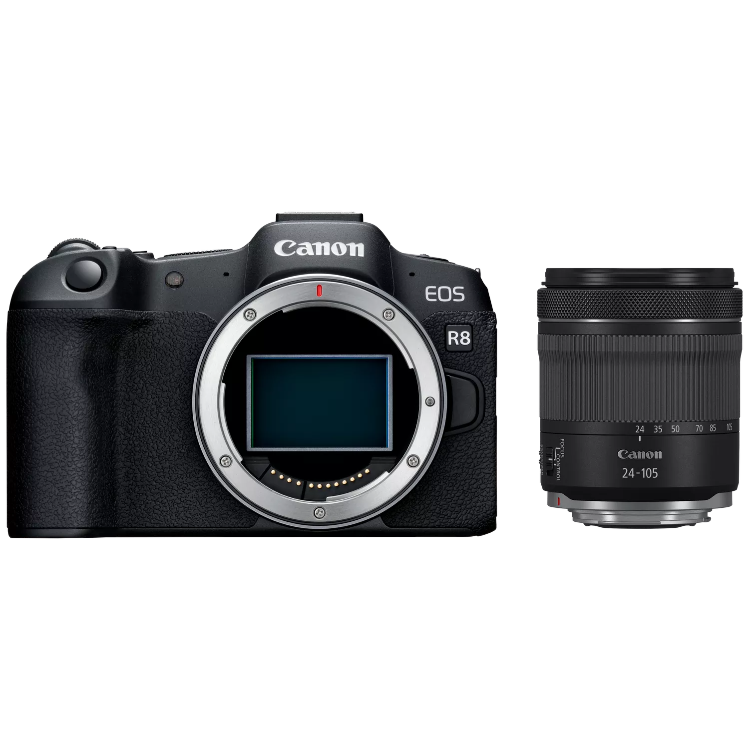 Canon EOS R8 + RF 24-105mm f/4-7.1 IS STM