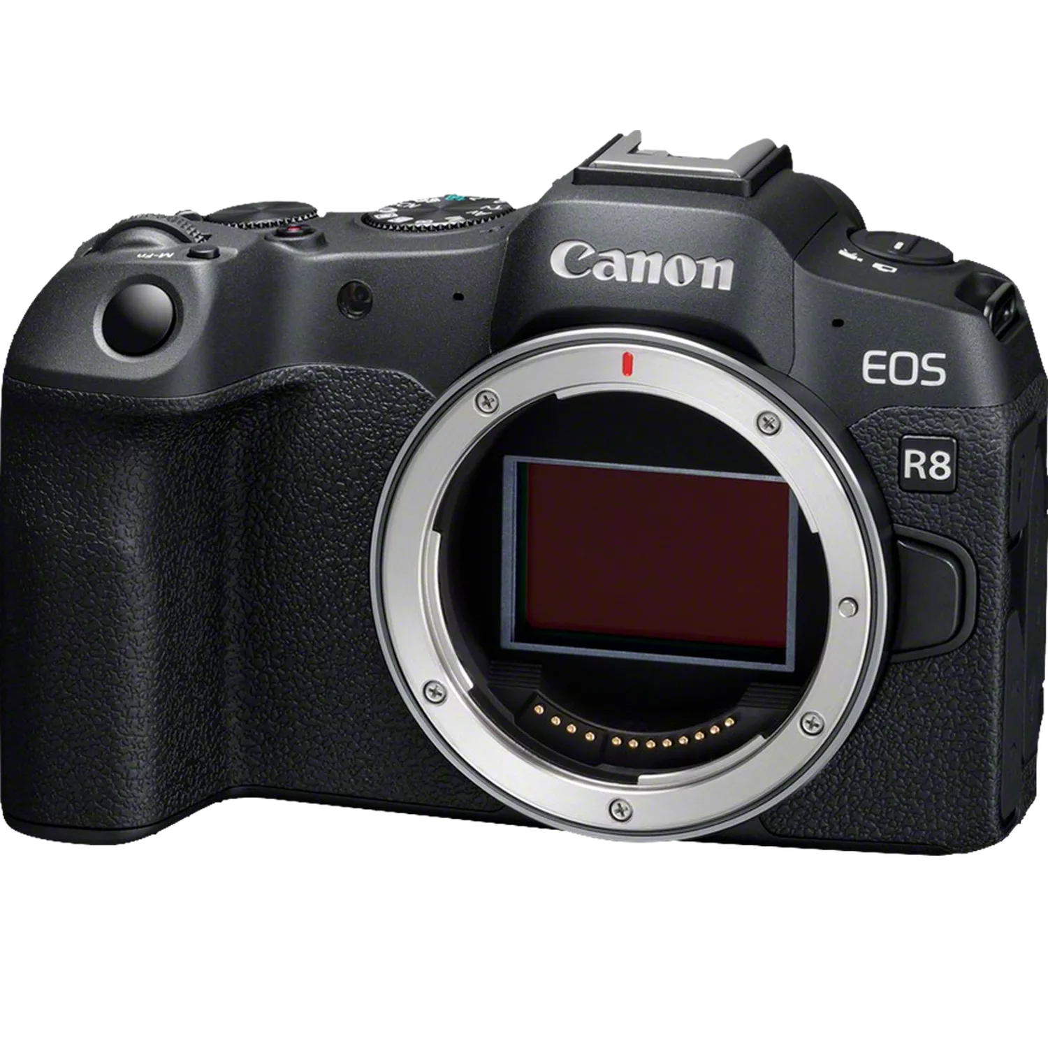 Canon EOS R8 + RF 24-105mm f/4-7.1 IS STM