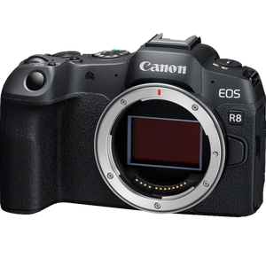Canon EOS R8 + RF 24-105mm f/4-7.1 IS STM