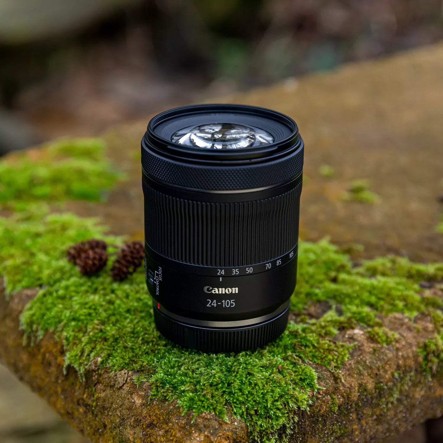 Canon EOS R8 + RF 24-105mm f/4-7.1 IS STM
