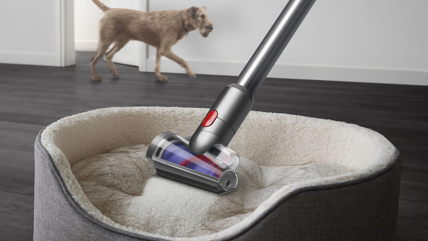  Dyson V12 Detect Slim Absolute Yellow/Nickel