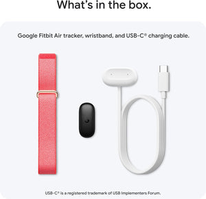 Google Fitbit Air