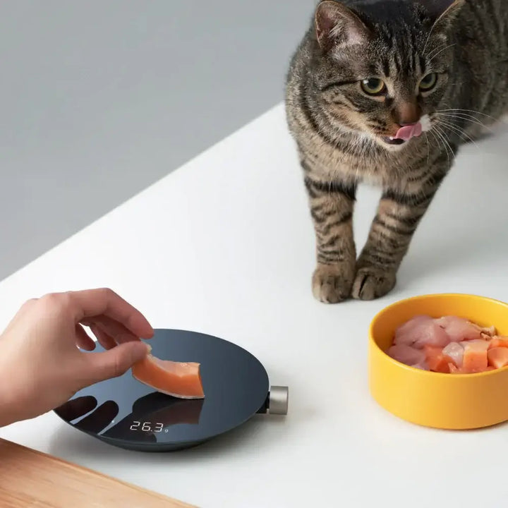 HOTO Digital Kitchen Food Scale