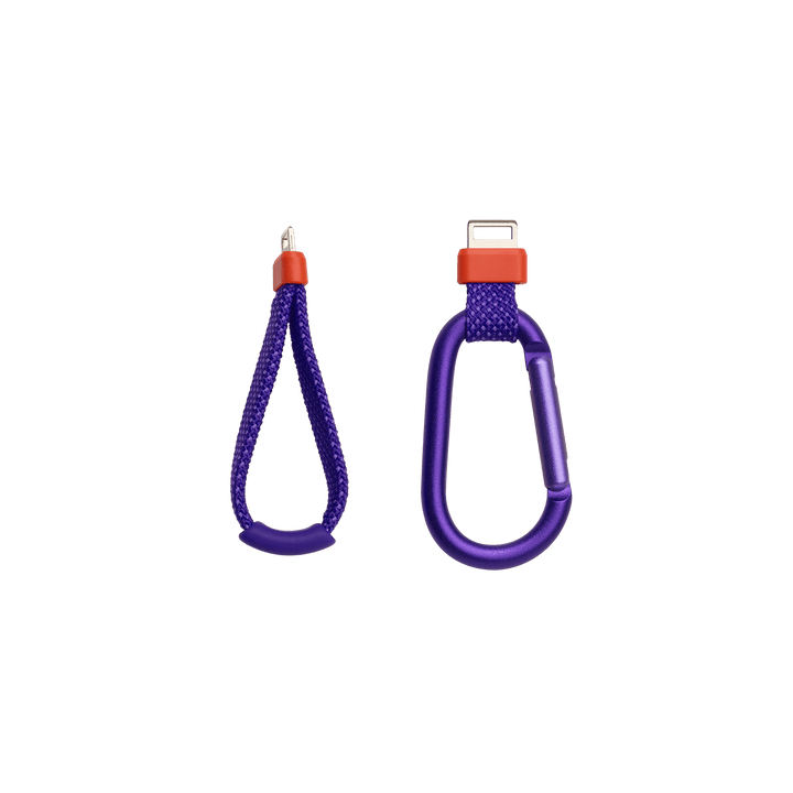 JBL Flip 7 Purple