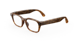 Meta Glasses Adventurer