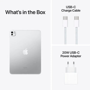iPad Pro M4 11-inch Silver WiFi